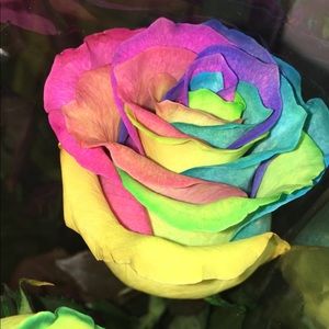 Meet your Posher, Jordan